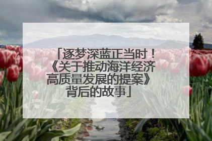逐梦深蓝正当时！《关于推动海洋经济高质量发展的提案》背后的故事