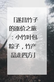 遂昌竹子的涨价之旅：小竹叶包粽子，竹产品走四方