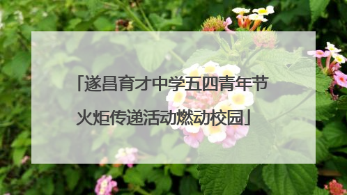 遂昌育才中学五四青年节火炬传递活动燃动校园