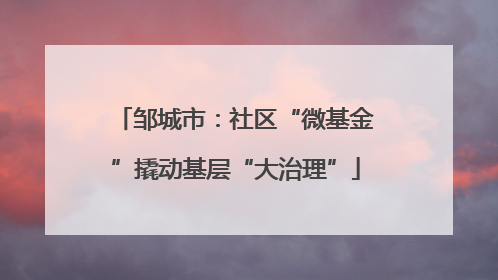 邹城市：社区“微基金”撬动基层“大治理”