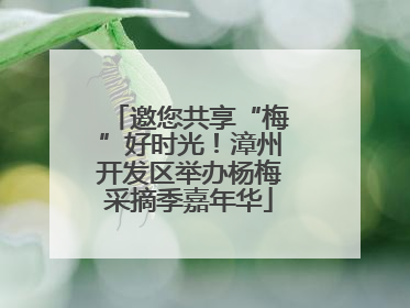 邀您共享“梅”好时光！漳州开发区举办杨梅采摘季嘉年华