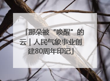 那朵被“唤醒”的云｜人民气象事业创建80周年印记