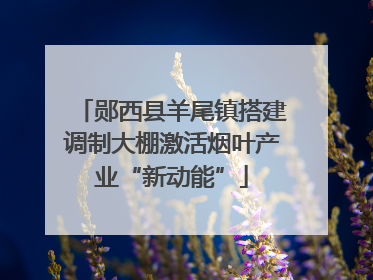 郧西县羊尾镇搭建调制大棚激活烟叶产业“新动能”