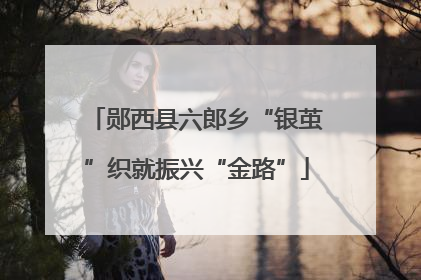 郧西县六郎乡“银茧”织就振兴“金路”