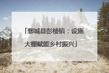 鄄城县彭楼镇：设施大棚赋能乡村振兴