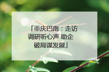 重庆巴南：走访调研听心声 助企破局谋发展