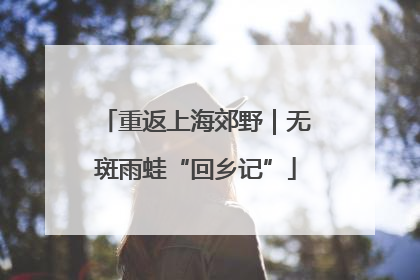 重返上海郊野｜无斑雨蛙“回乡记”