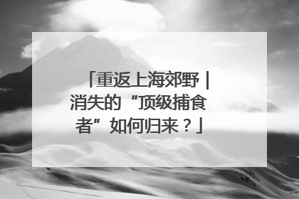 重返上海郊野｜消失的“顶级捕食者”如何归来？