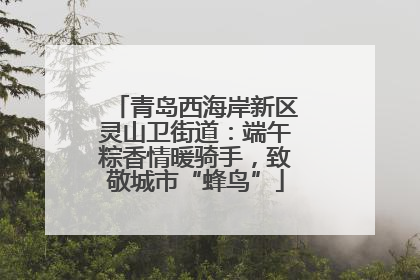 青岛西海岸新区灵山卫街道：端午粽香情暖骑手，致敬城市“蜂鸟”