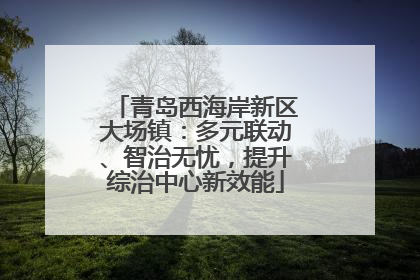 青岛西海岸新区大场镇：多元联动、智治无忧，提升综治中心新效能