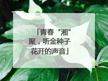 青春“湘”聚，听金种子花开的声音