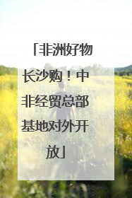 非洲好物长沙购！中非经贸总部基地对外开放