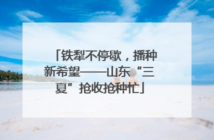 铁犁不停歇，播种新希望——山东“三夏”抢收抢种忙