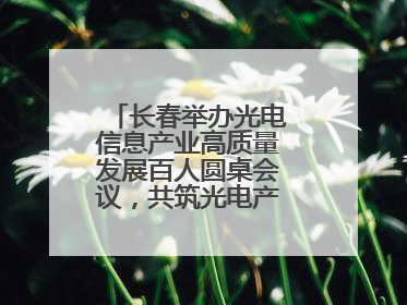 长春举办光电信息产业高质量发展百人圆桌会议，共筑光电产业创新生态
