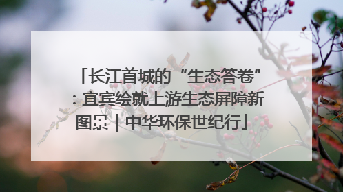 长江首城的“生态答卷”：宜宾绘就上游生态屏障新图景｜中华环保世纪行