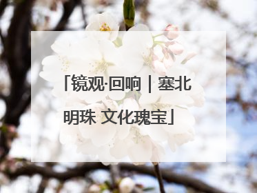 镜观·回响｜塞北明珠 文化瑰宝