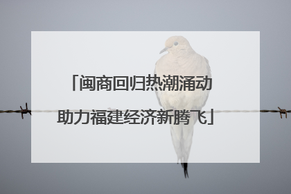 闽商回归热潮涌动 助力福建经济新腾飞