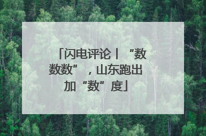 闪电评论丨“数数数”，山东跑出加“数”度