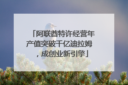 阿联酋特许经营年产值突破千亿迪拉姆，成创业新引擎