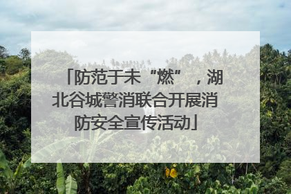防范于未“燃”，湖北谷城警消联合开展消防安全宣传活动