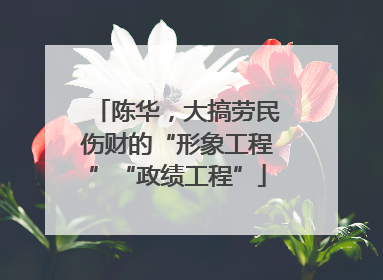 陈华，大搞劳民伤财的“形象工程”“政绩工程”
