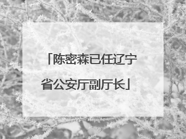 陈密森已任辽宁省公安厅副厅长