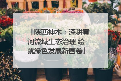 陕西神木：深耕黄河流域生态治理 绘就绿色发展新画卷