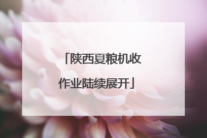 陕西夏粮机收作业陆续展开