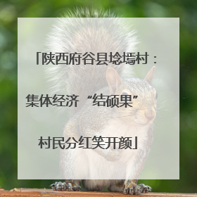 陕西府谷县埝墕村：集体经济“结硕果” 村民分红笑开颜