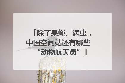 除了果蝇、涡虫，中国空间站还有哪些“动物航天员”