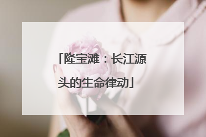 隆宝滩：长江源头的生命律动
