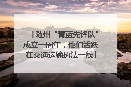 随州“青蓝先锋队”成立一周年，他们活跃在交通运输执法一线