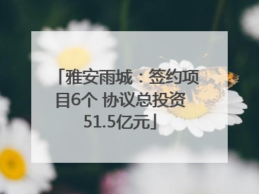 雅安雨城：签约项目6个 协议总投资51.5亿元