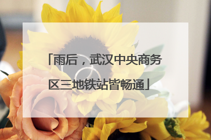 雨后，武汉中央商务区三地铁站皆畅通