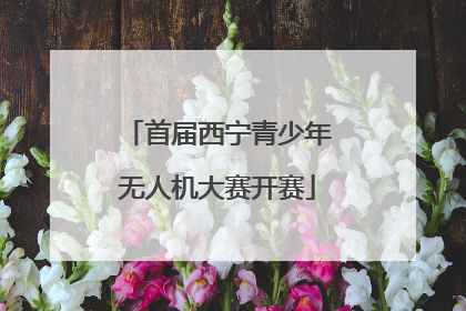 首届西宁青少年无人机大赛开赛
