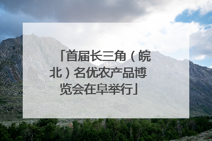 首届长三角（皖北）名优农产品博览会在阜举行