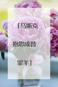 马斯克抱怨成替罪羊