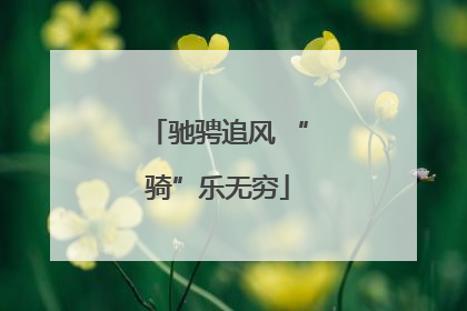 驰骋追风 “骑”乐无穷