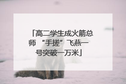 高二学生成火箭总师 “手搓”飞燕一号突破一万米