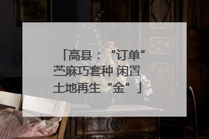 高县：“订单”苎麻巧套种 闲置土地再生“金”