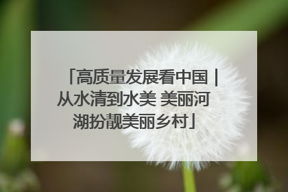 高质量发展看中国｜从水清到水美 美丽河湖扮靓美丽乡村