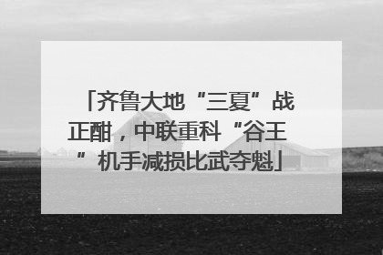 齐鲁大地“三夏”战正酣，中联重科“谷王”机手减损比武夺魁