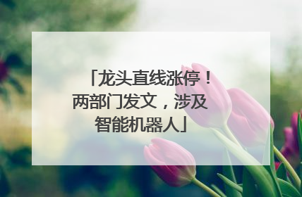 龙头直线涨停！两部门发文，涉及智能机器人
