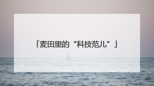麦田里的“科技范儿”