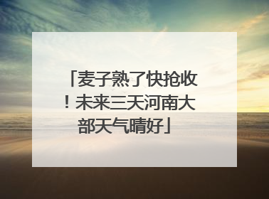 麦子熟了快抢收！未来三天河南大部天气晴好