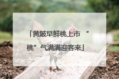 黄陂早鲜桃上市 “桃”气满满迎客来