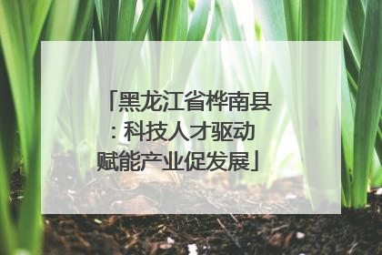 黑龙江省桦南县：科技人才驱动 赋能产业促发展