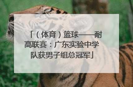 （体育）篮球——耐高联赛：广东实验中学队获男子组总冠军