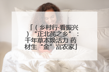 （乡村行·看振兴）“正北芪之乡”：千年草本焕活力 药材生“金”富农家