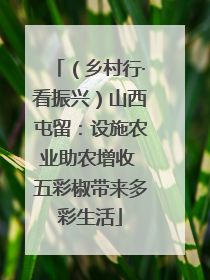 （乡村行·看振兴）山西屯留：设施农业助农增收 五彩椒带来多彩生活